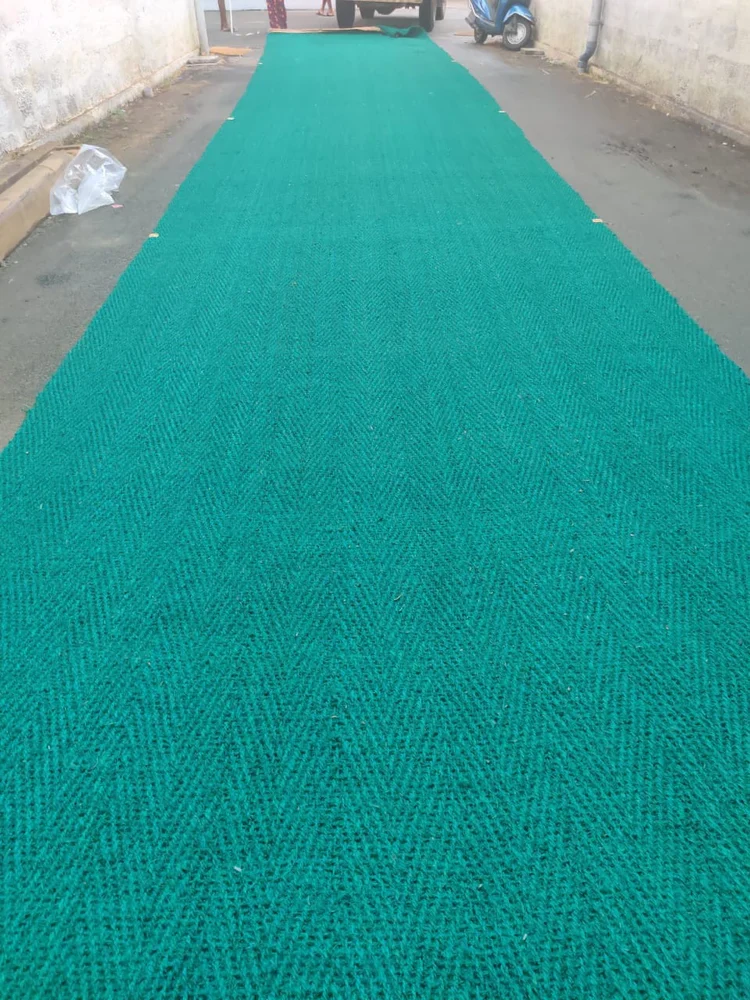 Cricket mat installed inside a home practice net in Chennai